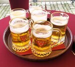 Auf den Spuren des Bieres